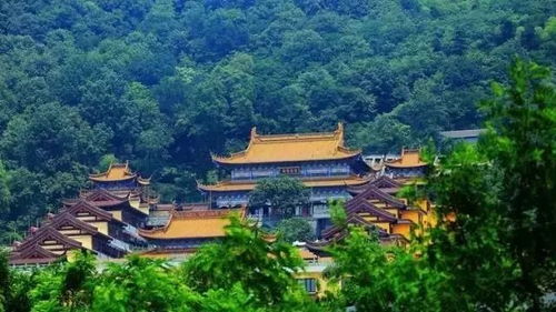 近期有哪些寺庙举办了适合较大众参与的禅修活动