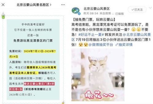 票价疯抢现场实录