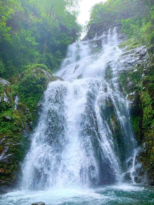 2. 秘境瀑布（其实是泥泞小沟）