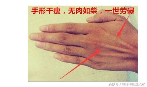 1. 手掌气色与福气浅薄