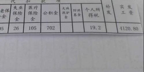 一、 文化底蕴根基——国学视域下的命名原则