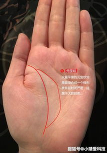 一、 
