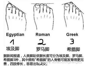 足底结构特征对社会地位的潜在影响