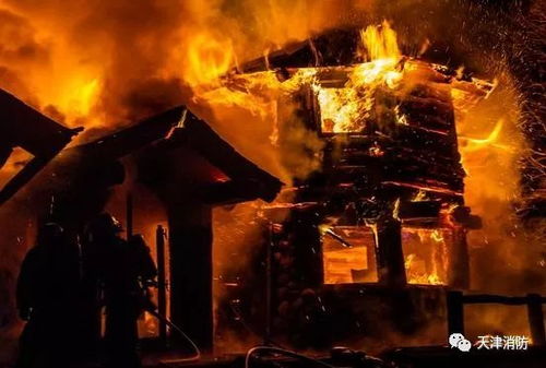 3.1 具体案例的数据呈现与事实陈述