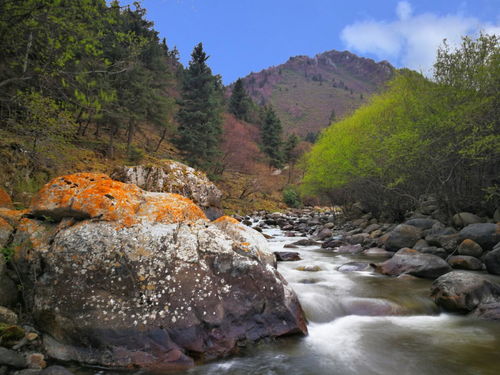 冰沟景区：乱七八糟的“天然博物馆”