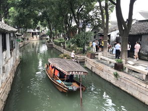 别被“古镇湿地”骗了 这里是个需要单独解锁的平行世界