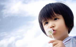 再来几个稍微认真一点点的…… （努力！）