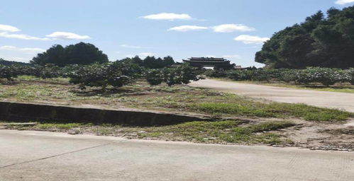 历史文化底蕴与现代旅游业的融合