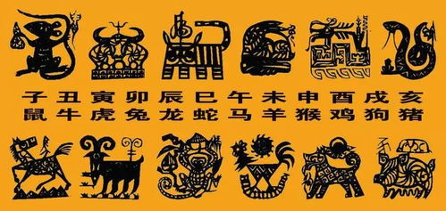 鸡王的努力与玉帝的嘉奖