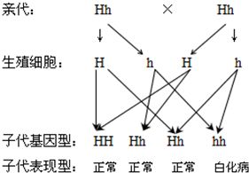 二、 白鱼型手掌结构与单身倾向的关系
