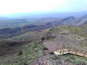 惯与吃的那些事儿