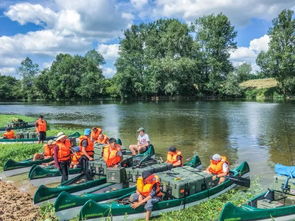 终极摆烂省钱法