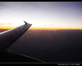 二、 西方星座体系中蕴含翱翔意象之星座