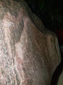 5. 增进家庭和睦的情感纽带作用