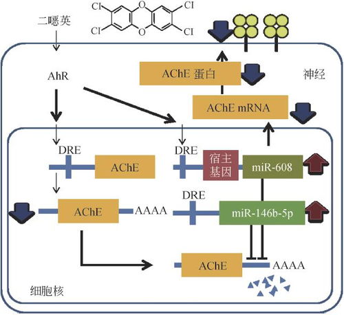 ：居所与环境之和谐——从传统风水视角审视现代居住问题