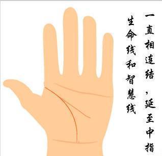 5. 生命线与智慧线起点处上升线之显现