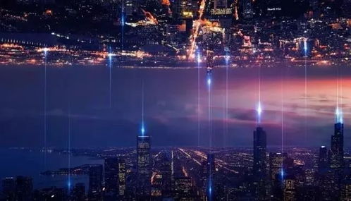 什么是“郁林之子”？（先别急着问我！）