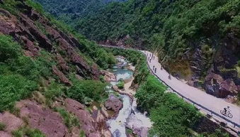 传统与现代的张力及反思