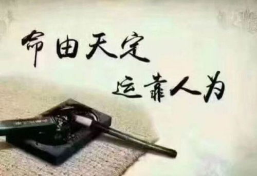 八字合盘与和盘托出有何本质区别？