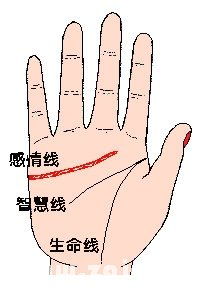 我的感情线、事业线三角关系如何，财运、事业、姻缘会怎样？