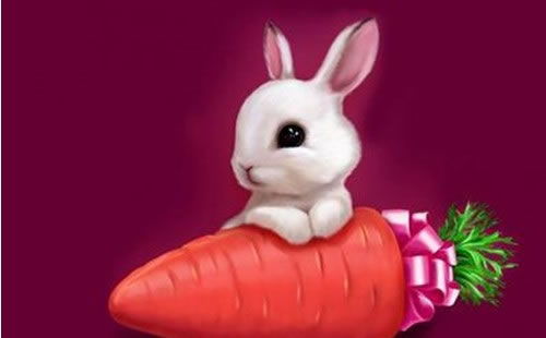 属兔女性如何穿搭能旺财运？1975年属兔运势有何含义？