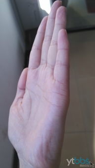 女生手相图片大全中，有哪些女孩的手相特征？