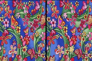 眼花缭乱是哪个生肖的象征？