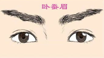 （一）人际运势：孤立倾向与社交边界模糊之双重困境
