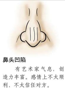 3. 鼻子——财富有运势与人格倾向