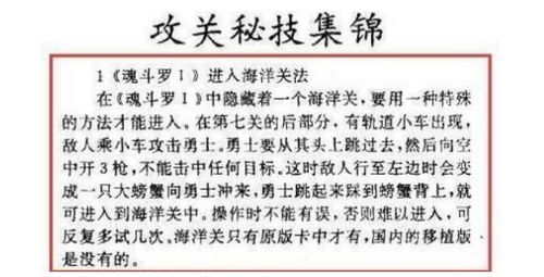 第三步：埋设与仪式操作——核心步骤及咒语应用细则