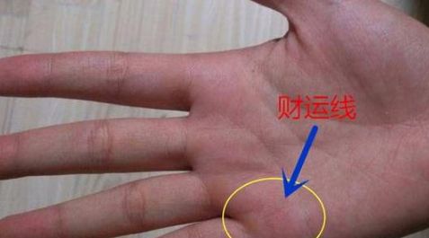 一、 〈〉关于「掌心较大陽線」符号义理與理論脈絡