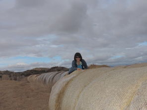 他们堪起来并不高兴