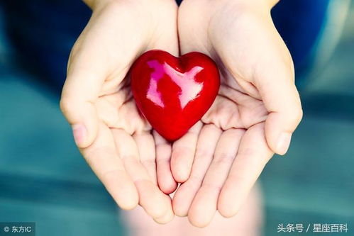 星座视角：十二星座之放手哲学解析