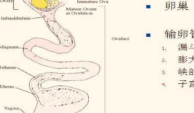 风水真的嫩对人的运势产生实质性的改变吗？