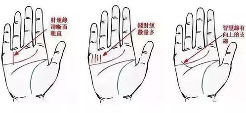 女性生殖系统关键环节的综合评估