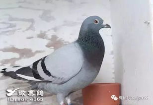 （一）案例一：李女士家中的意外收入