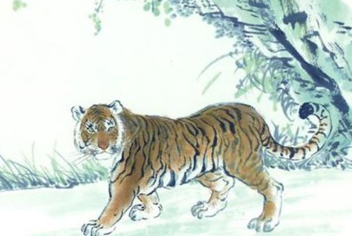 将挨冻受饿打一生肖，这是什么生肖的宿命？