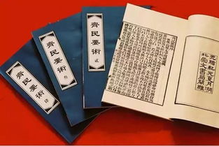 闰月处理及历法纠纷——纪律严谨性的体现