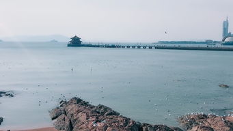 青岛：海风那个吹，冷到怀疑人生！