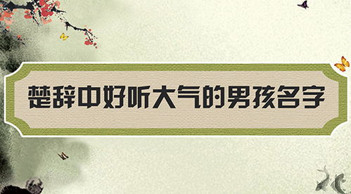 五、  起名注意事项
