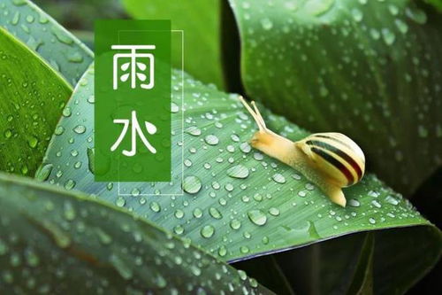 二、 黄道吉日的辨识及其在2023年正月中的分布特征