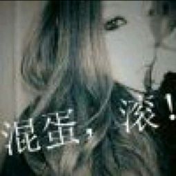 霸气和高雅：这两个词儿到底啥意思？