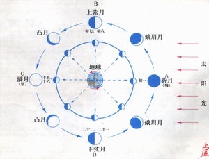 五行命理视角下之个体适配性探讨