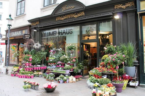 1. 嗅觉维度的舒适度营造