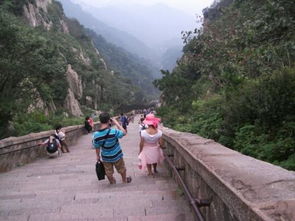 二、 登山：累成狗，还带点“惊喜”