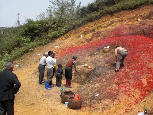 六、 不在墓地拍照：避免阴霾能量侵袭