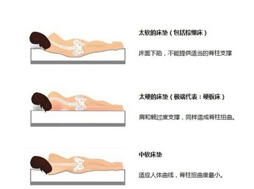 三、正确姿势与力度对音色品质之作用于