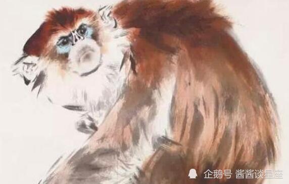 有命来玩却事事不认真的动物，最终会后悔，这究竟是什么生肖呢？