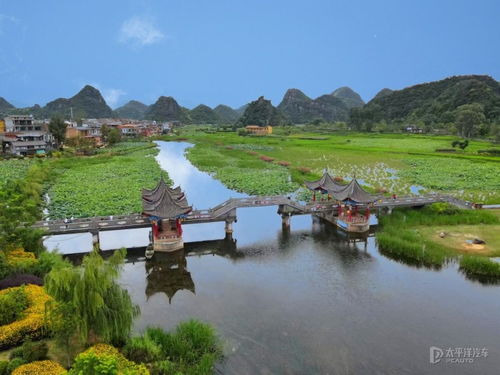 普者黑赏荷胜地游有哪些值得一去的景点？这真是个让人头秃的问题