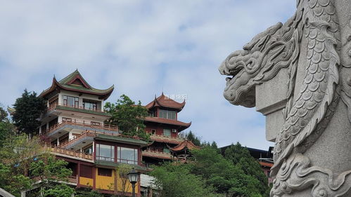 庙里的大忽悠们